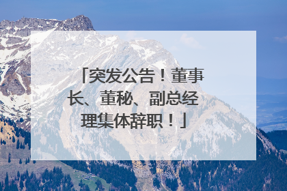 突发公告！董事长、董秘、副总经理集体辞职！