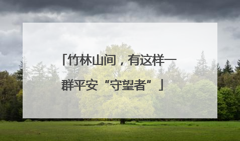 竹林山间，有这样一群平安“守望者”
