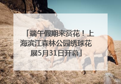 端午假期来赏花！上海滨江森林公园绣球花展5月31日开幕