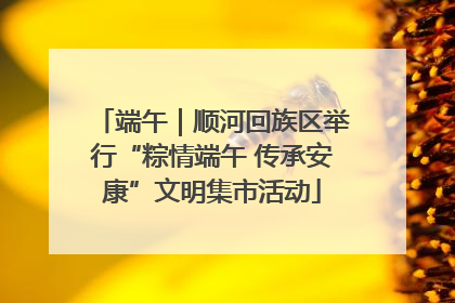 端午｜顺河回族区举行“粽情端午 传承安康”文明集市活动