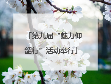 第九届“魅力仰韶行”活动举行