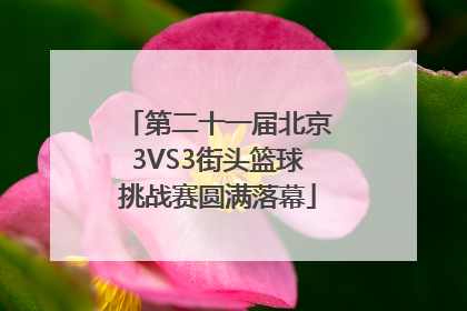 第二十一届北京3VS3街头篮球挑战赛圆满落幕