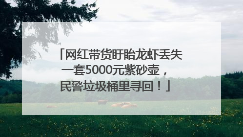 网红带货盱眙龙虾丢失一套5000元紫砂壶，民警垃圾桶里寻回！
