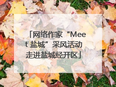 网络作家“Meet 盐城”采风活动走进盐城经开区