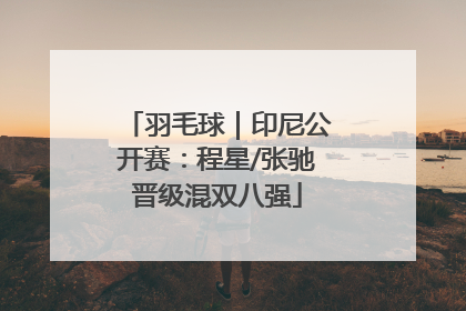 羽毛球｜印尼公开赛：程星/张驰晋级混双八强