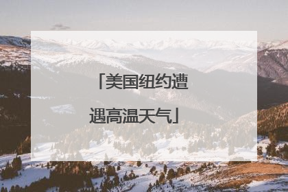 美国纽约遭遇高温天气