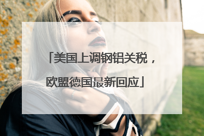 美国上调钢铝关税，欧盟德国最新回应