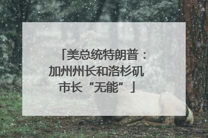 美总统特朗普：加州州长和洛杉矶市长“无能”