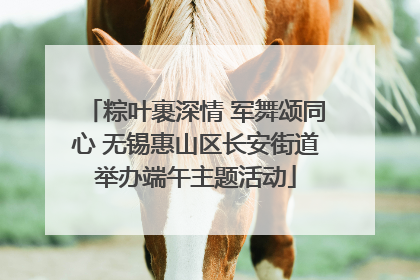 粽叶裹深情 军舞颂同心 无锡惠山区长安街道举办端午主题活动