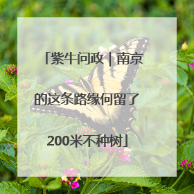 紫牛问政｜南京的这条路缘何留了200米不种树