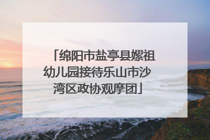 绵阳市盐亭县嫘祖幼儿园接待乐山市沙湾区政协观摩团