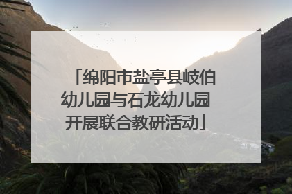 绵阳市盐亭县岐伯幼儿园与石龙幼儿园开展联合教研活动