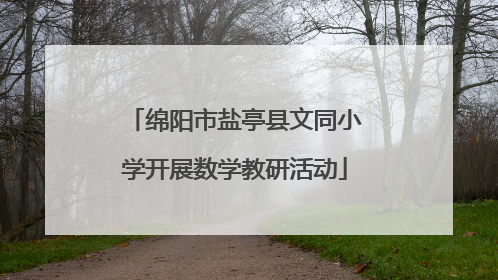 绵阳市盐亭县文同小学开展数学教研活动