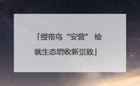 绶带鸟“安营” 绘就生态增收新景致
