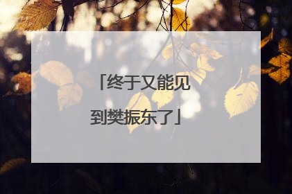 终于又能见到樊振东了