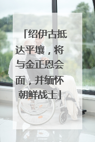 绍伊古抵达平壤，将与金正恩会面，并缅怀朝鲜战士