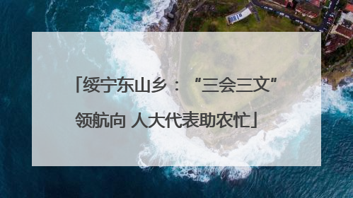 绥宁东山乡：“三会三文”领航向 人大代表助农忙