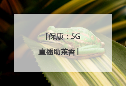 保康：5G直播助茶香