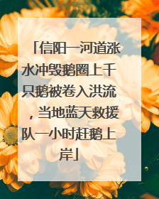 信阳一河道涨水冲毁鹅圈上千只鹅被卷入洪流，当地蓝天救援队一小时赶鹅上岸