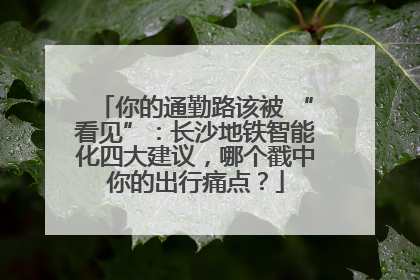 你的通勤路该被 “看见”：长沙地铁智能化四大建议，哪个戳中你的出行痛点？