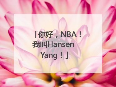 你好，NBA！我叫Hansen Yang！