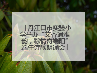丹江口市实验小学举办“艾香诵雅韵，粽情寄端阳”端午诗歌朗诵会