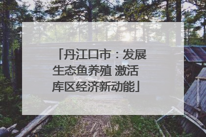 丹江口市：发展生态鱼养殖 激活库区经济新动能