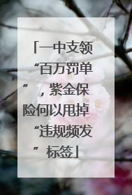 一中支领“百万罚单”，紫金保险何以甩掉“违规频发”标签