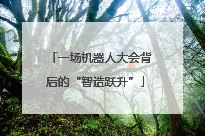 一场机器人大会背后的“智造跃升”