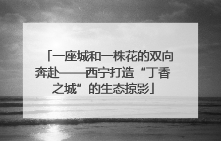 一座城和一株花的双向奔赴——西宁打造“丁香之城”的生态掠影