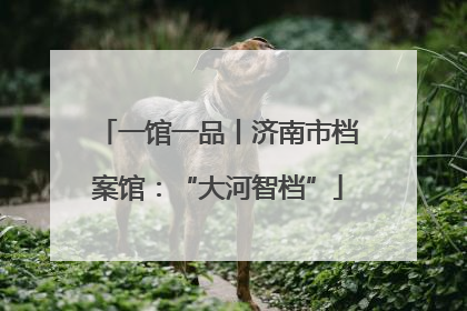 一馆一品丨济南市档案馆：“大河智档”