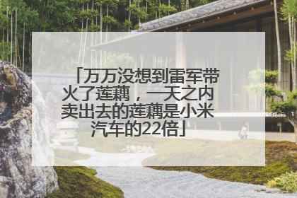 万万没想到雷军带火了莲藕，一天之内卖出去的莲藕是小米汽车的22倍