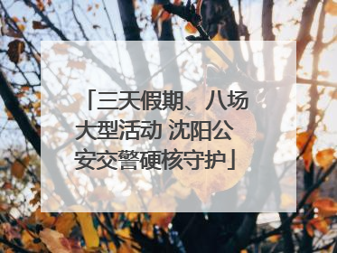 三天假期、八场大型活动 沈阳公安交警硬核守护