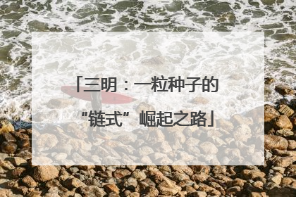 三明：一粒种子的“链式”崛起之路