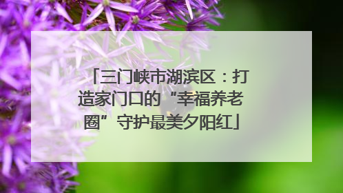 三门峡市湖滨区：打造家门口的“幸福养老圈”守护最美夕阳红
