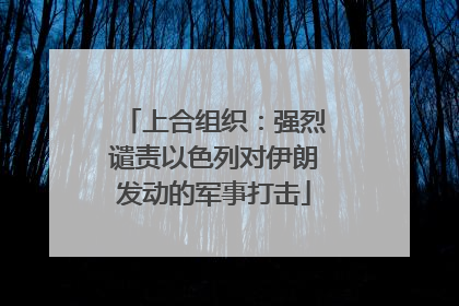 上合组织：强烈谴责以色列对伊朗发动的军事打击
