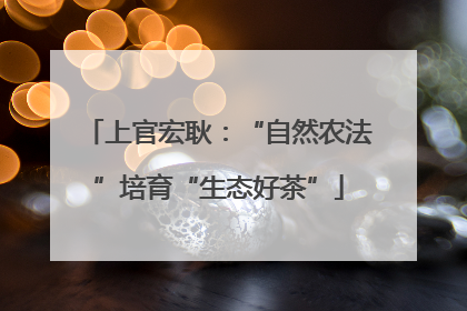 上官宏耿：“自然农法”培育“生态好茶”