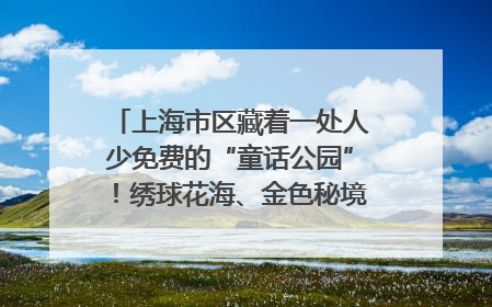 上海市区藏着一处人少免费的“童话公园”！绣球花海、金色秘境……地铁直达→