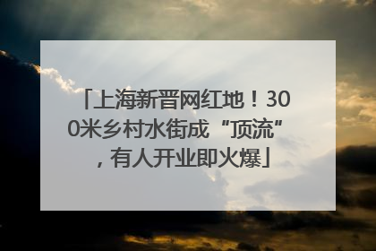 上海新晋网红地！300米乡村水街成“顶流”，有人开业即火爆