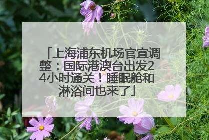 上海浦东机场官宣调整：国际港澳台出发24小时通关！睡眠舱和淋浴间也来了