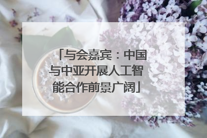 与会嘉宾：中国与中亚开展人工智能合作前景广阔