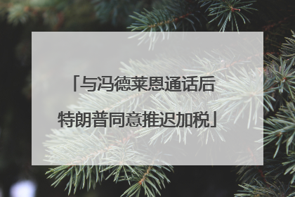 与冯德莱恩通话后 特朗普同意推迟加税