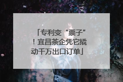 专利变“票子”！宜昌茶企凭它撬动千万出口订单