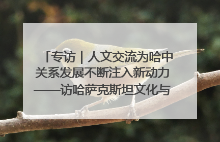 专访｜人文交流为哈中关系发展不断注入新动力——访哈萨克斯坦文化与信息部部长巴拉耶娃
