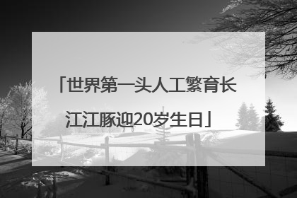 世界第一头人工繁育长江江豚迎20岁生日