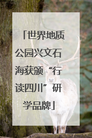 世界地质公园兴文石海获颁“行读四川”研学品牌
