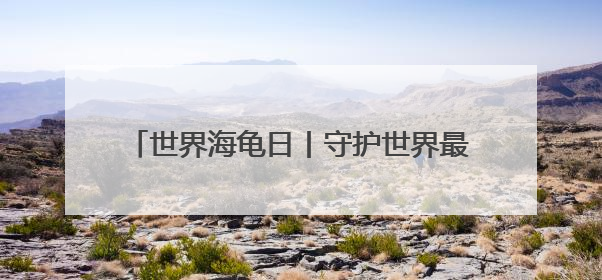 世界海龟日丨守护世界最大海龟产卵 特多“守夜人”坚守海滩30多年