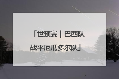 世预赛｜巴西队战平厄瓜多尔队