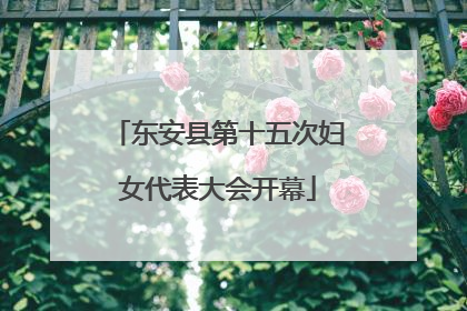 东安县第十五次妇女代表大会开幕