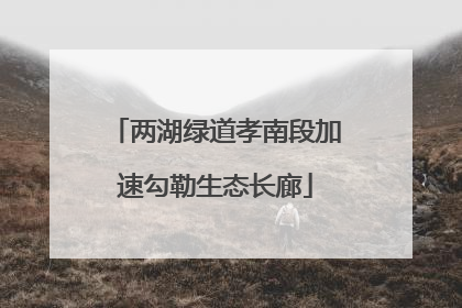 两湖绿道孝南段加速勾勒生态长廊